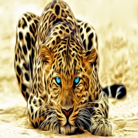 leopard-lejit-okras-glaza