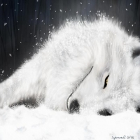 snowwhitewolf